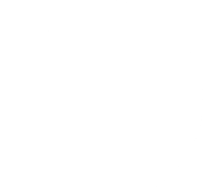 Digital Eclipse Logo